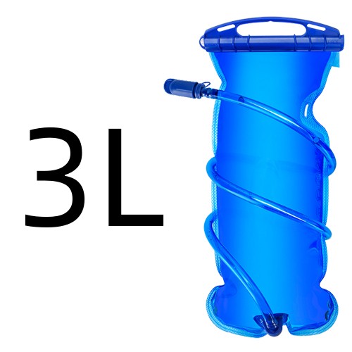 3L