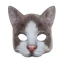 Ragdoll Cat
