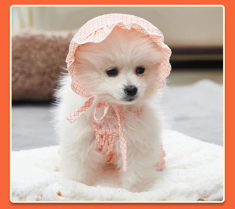 Title 3, Dog Clothes Set Orange Pet Jumpsuit With Hat Fa...