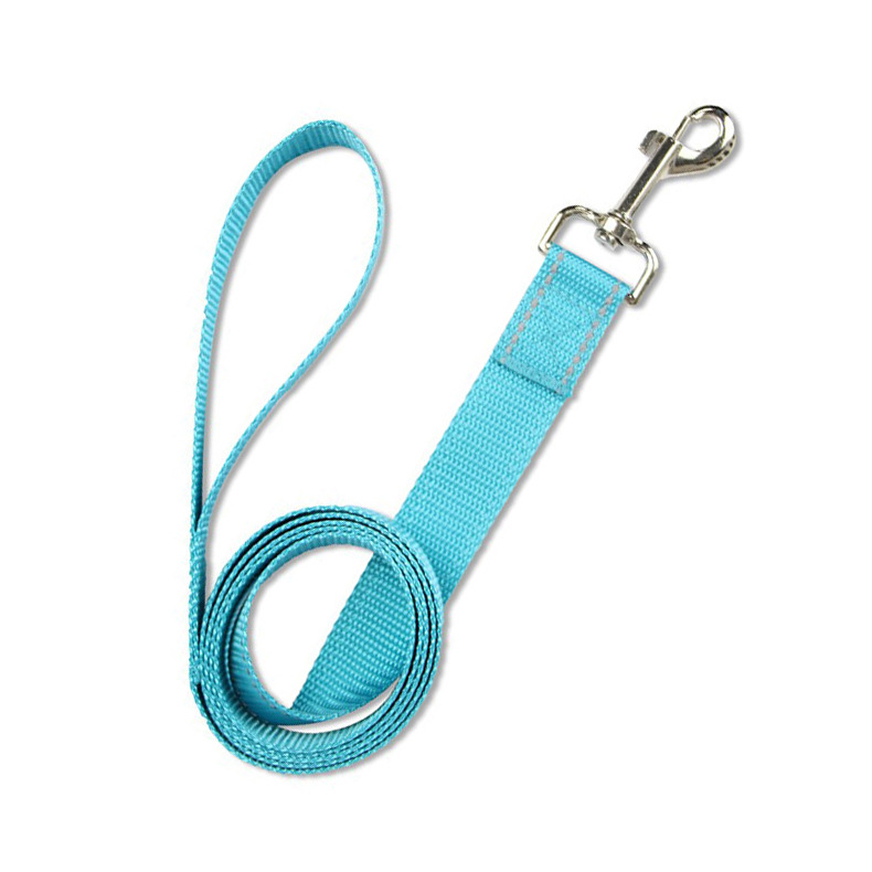 Blue Leash