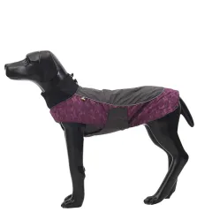Winter Warm Jacket For Medium And Large Dogs - Fuchsia - View 1