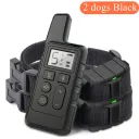 Black For 2Dogs