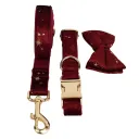 Dog Circle Dog Rope Bow7