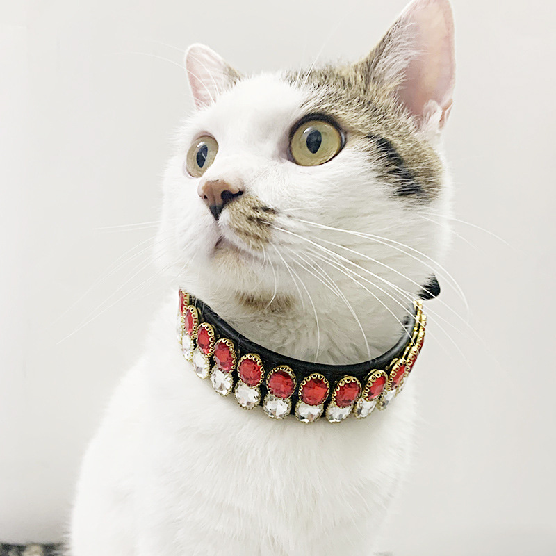 Retro Dog Rope Cat Collar image 7