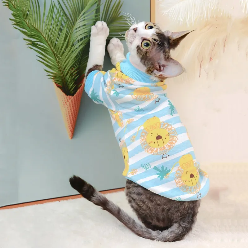 Hairless Cat Clothing Bottoming Air Conditioning