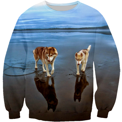 3D Digital Printing Men's Round Neck Sweatshirt