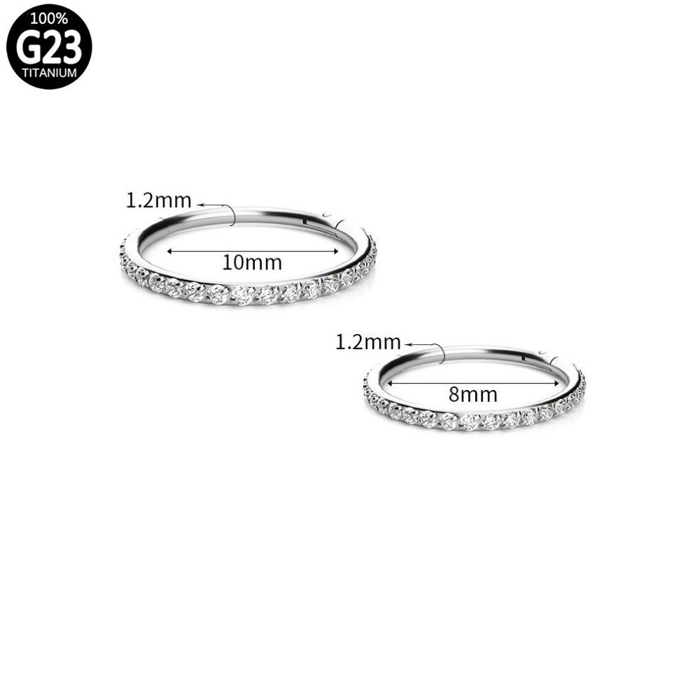 Titanium Body Piercing Jewelry Round Side Zirconia Earrings