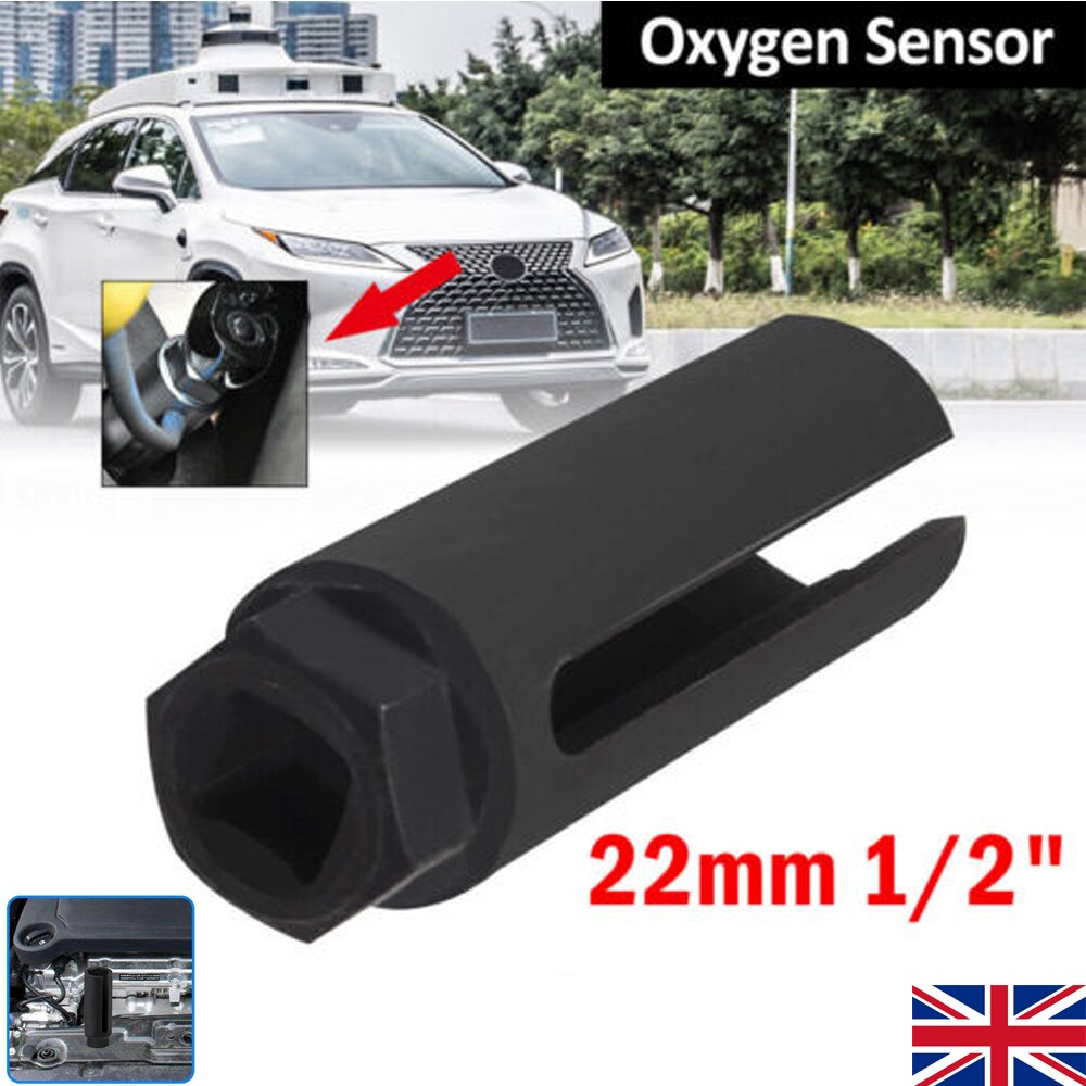 e3b7ce69 4350 4181 bbdc 2f1bc71f0412