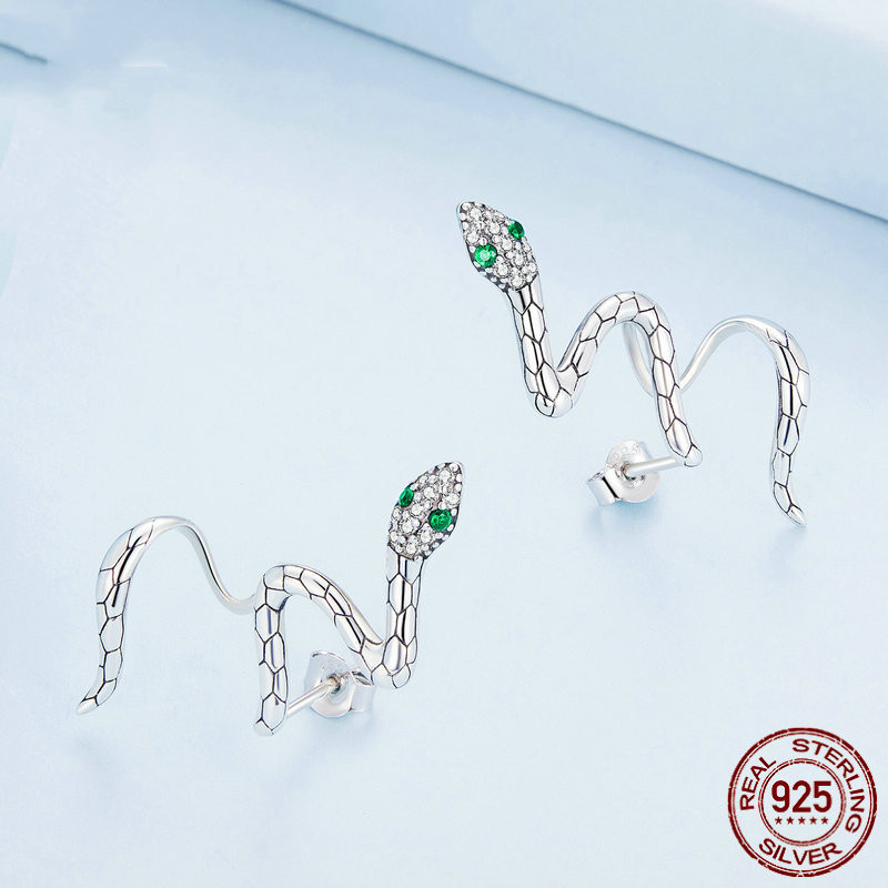 Title 2, Boucles doreilles clous serpentines S925 en ar...