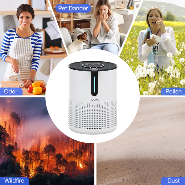 Amazon et TEMU interdits, pas de commandes le week-end. MOOKA – purificateur d'air – Image 2