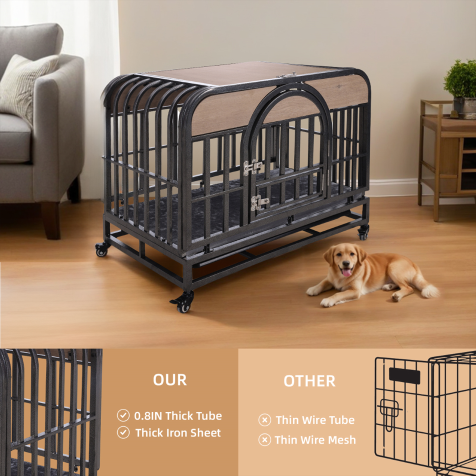 https://cf.cjdropshipping.com/e43660a9-c920-479a-9ca3-0abfe7123d62.png