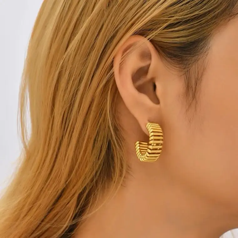 Niche C-shaped Earrings For Women