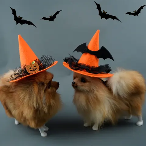 Halloween Pet Hat Non-woven Creative
