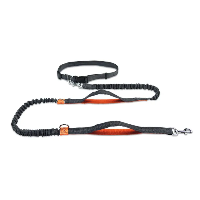 Multifunctional Running Reflective Double Telescopic Dog Leash Dog Chain Lead Rope Orange4210 - Shop at LoveMi