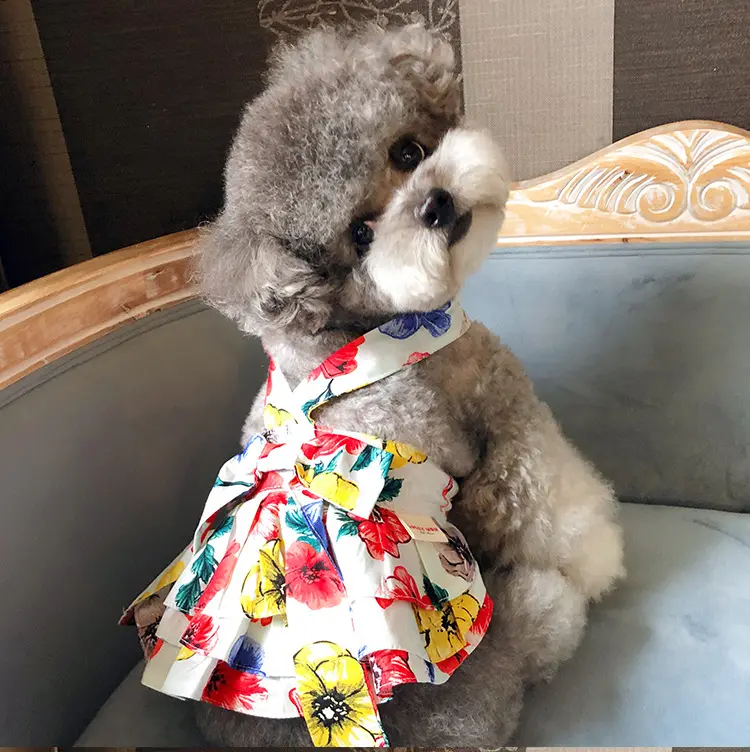 100 Cotton Printed Teddy Schnauzer And Pomeranian