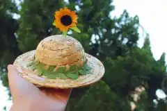 Mesh Flower Embroidery Dress Cat Clothes - Sunflower Hat - View 1