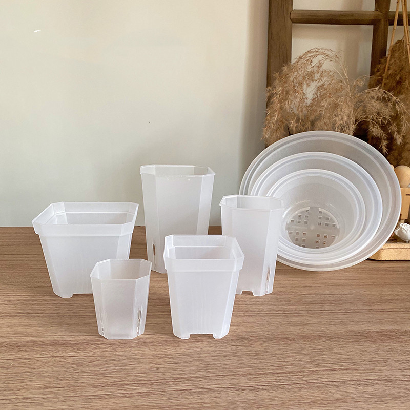 Transparent Small Square Basin Thickened