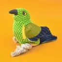 Green Thrush