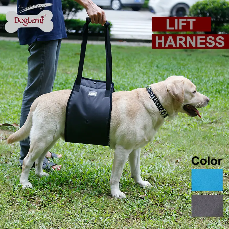 Dog Leg Injury Protection Pet Walking Belt