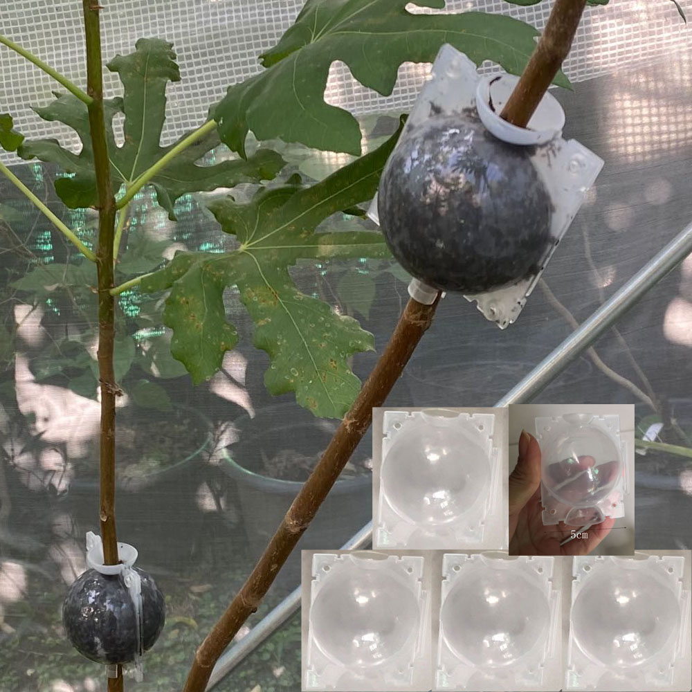 Plant High-pressure Box Propagation Plug Grafting Rooting Garden Tree Empty Branch Rooting Propagator