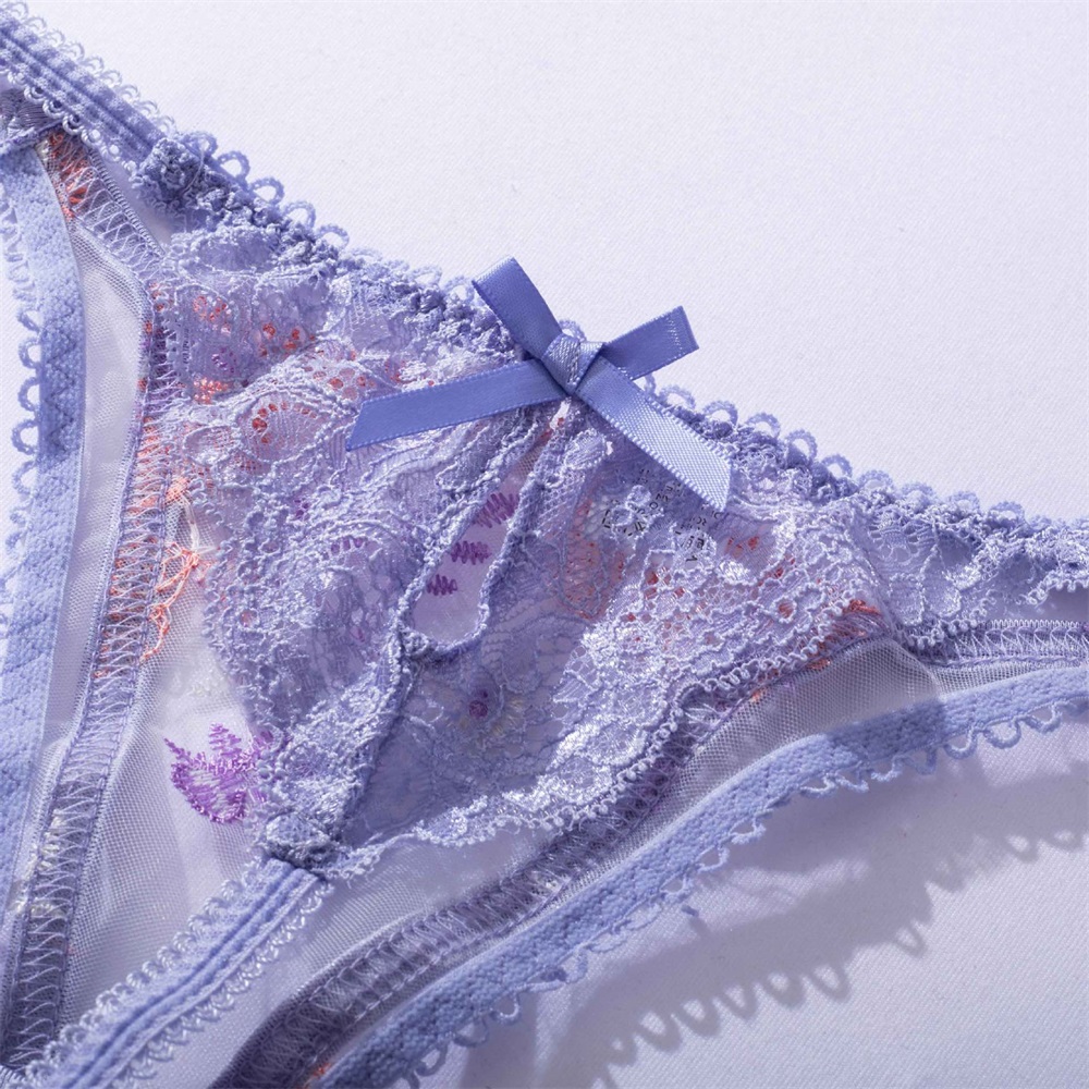 Title 11, Craft Embroidery Mesh Underwear Set offering ex...