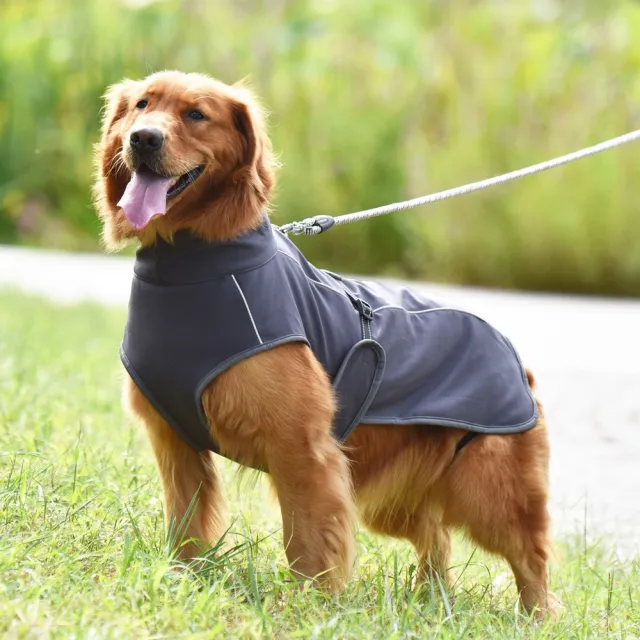 Autumn And Winter Warm Reflective Dog Clothes Grey - Shop at LoveMi