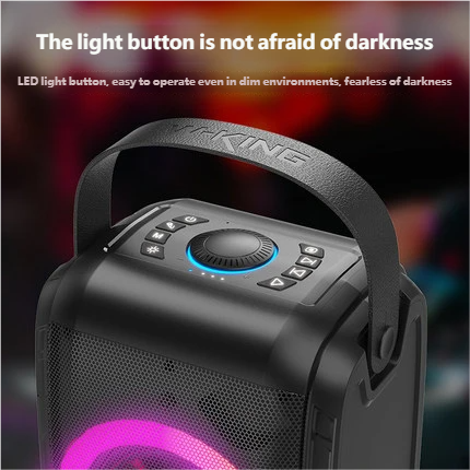 W-King T9S Portable Handheld Karaoke Speaker