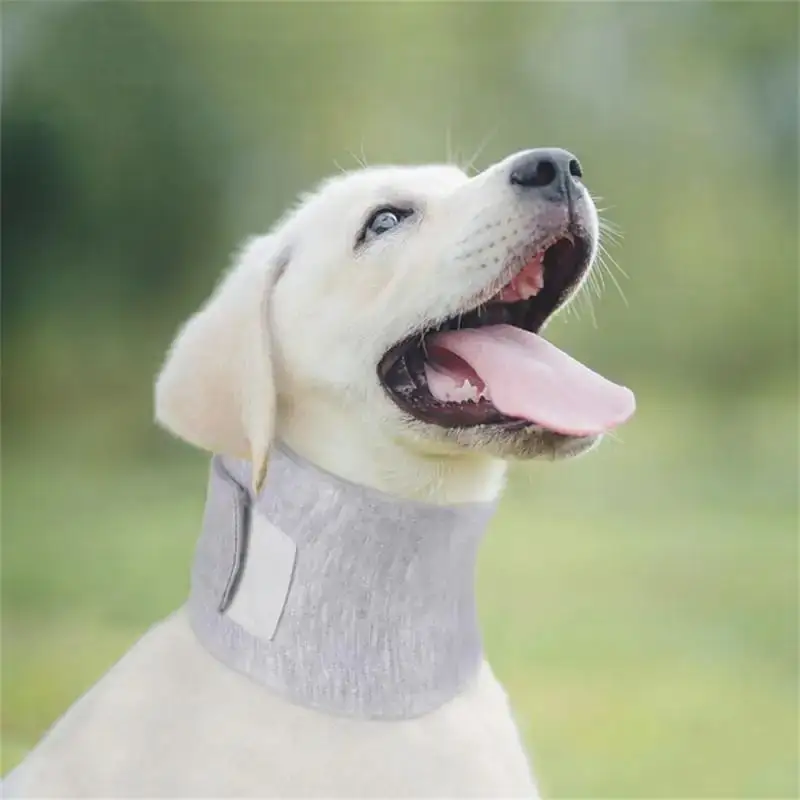 Neck Ring Anti-lick Wound Healing Protection Adjustable