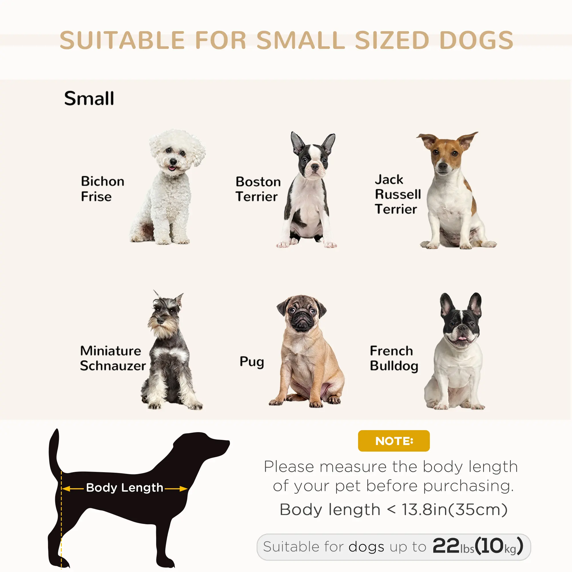 Luxury Small Dog Bed