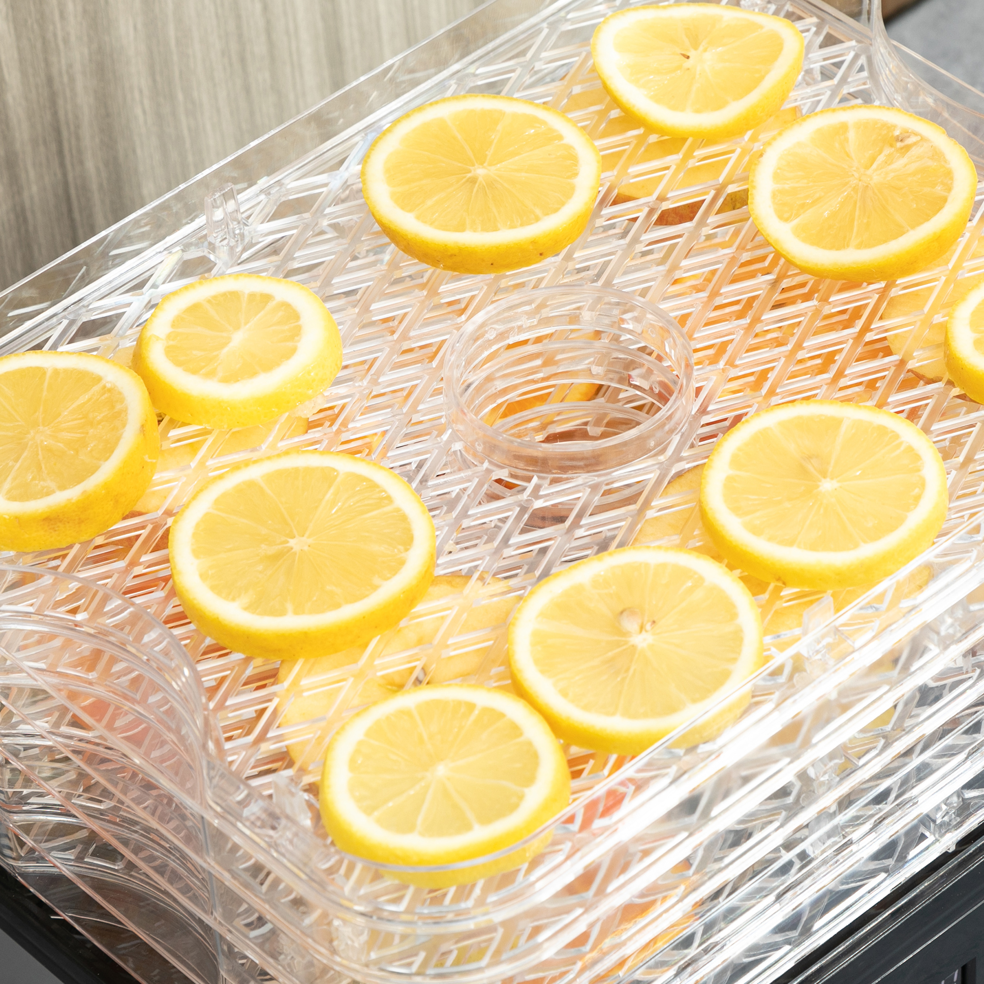 Five Layer Food Dehydrator, 245W Stainless Steel Dryer With Adjustable — image 7