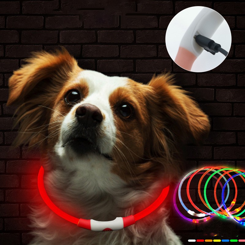 Collier lumineux pour chien, chargement USB