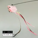 Fan Bird