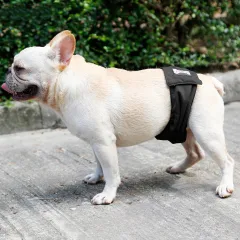 Male Dog Restraint Courtesy Belt Pet Supplie Washable Sanitary Diapers - Black - View 1