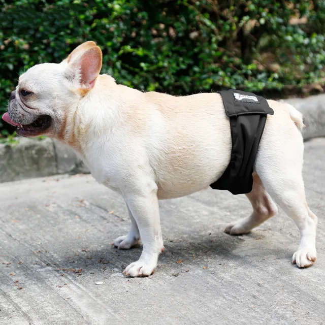 Male Dog Restraint Courtesy Belt Pet Supplie Washable Sanitary Diapers Black - Shop at LoveMi