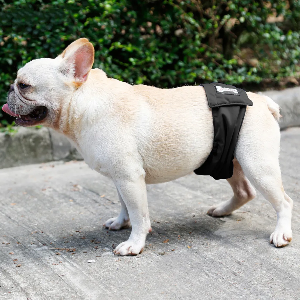 Male Dog Restraint Courtesy Belt Pet Supplie Washable Sanitary Diapers - Black