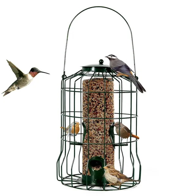 Outdoor Wild Bird Feeder Squirrel Proof Chew Proof Metal Hanging Seed Feeder With 4 Feeding Port For Small Songbirds Green - Shop at LoveMi