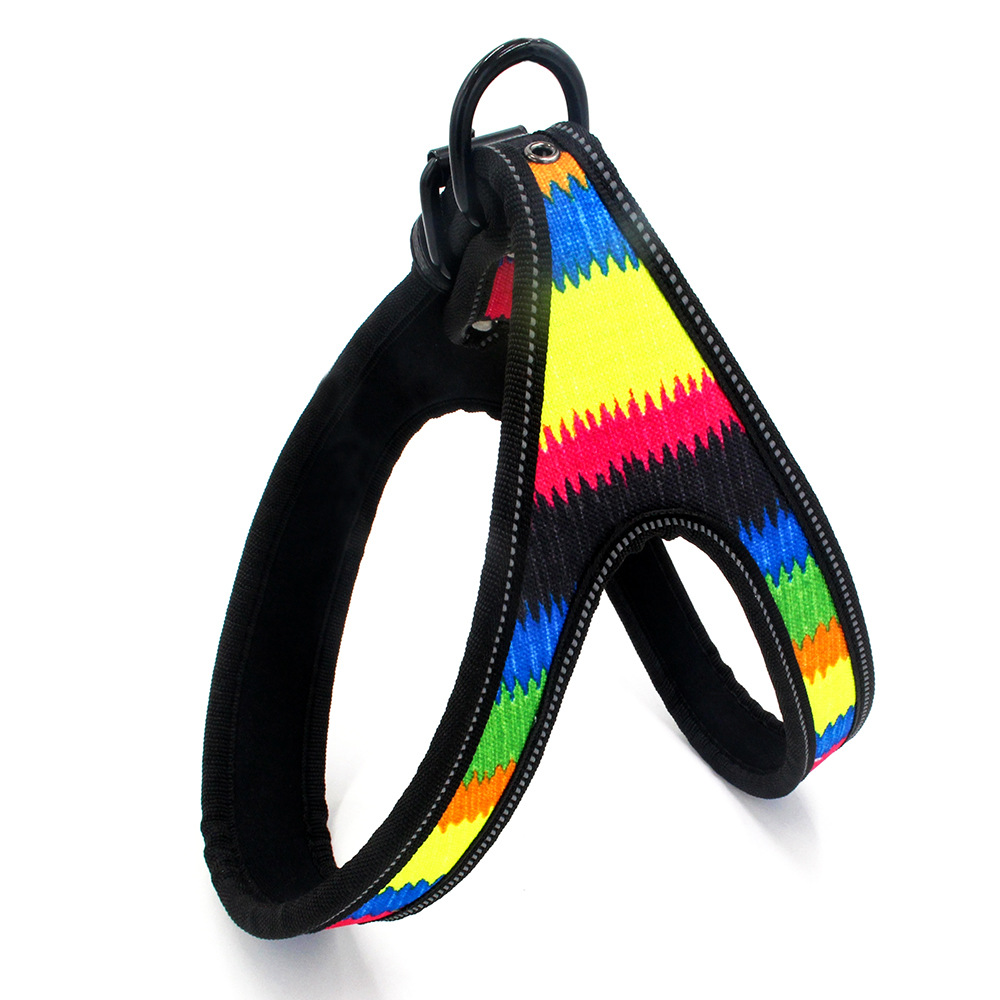 Neon Webbing Leawebbing leash