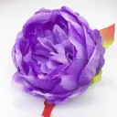 Dark Purple