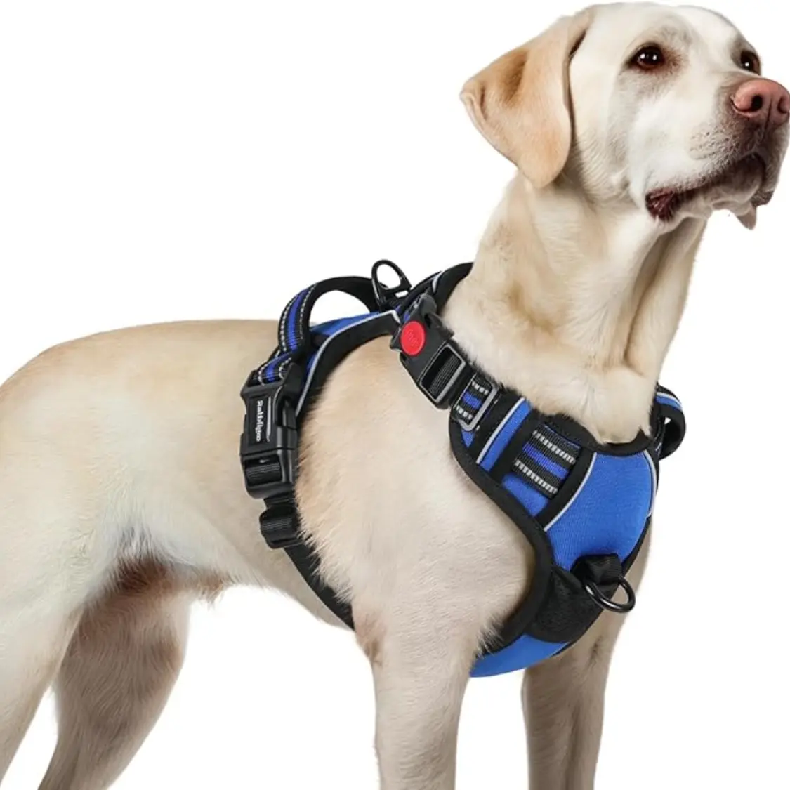 Dog Harness For Large, No Pull Easy
