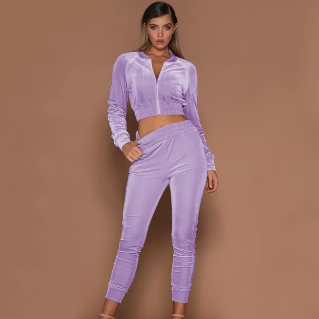 Velvet Suit Solid Color Zipper Sweater And Foot Sports Trousers Two piece Women Purple - Shop at LoveMi