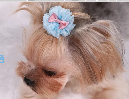 Pet Dog Cute Organza Bubble Hairpin Blue - Shop at LoveMi