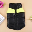 Fluorescent Green