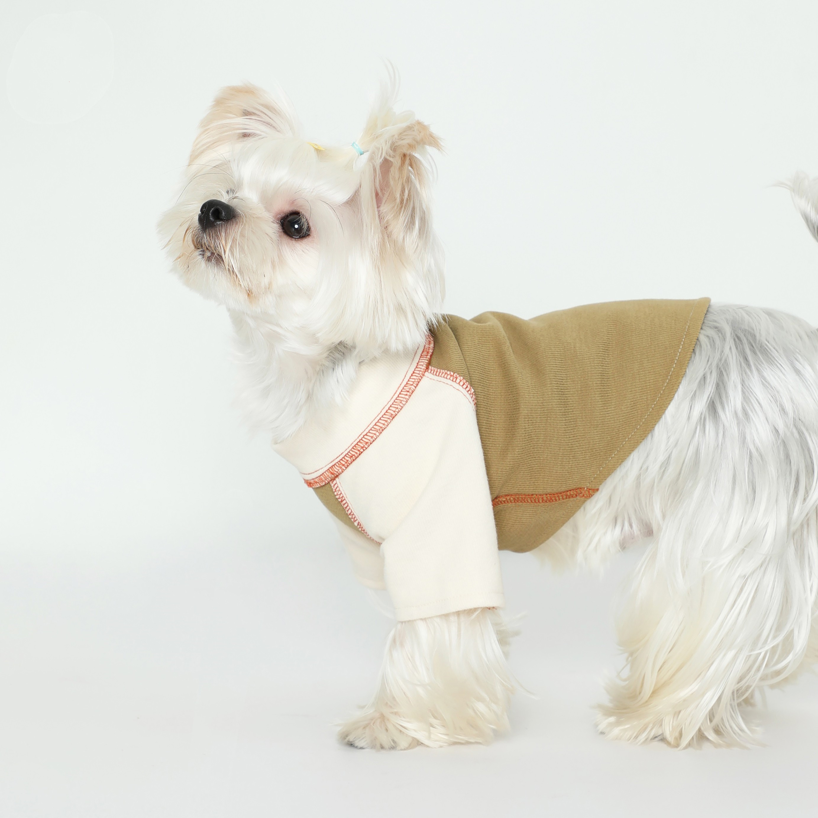 Pet American Rough Wilderness Army Green Short Sleeve T-Shirt