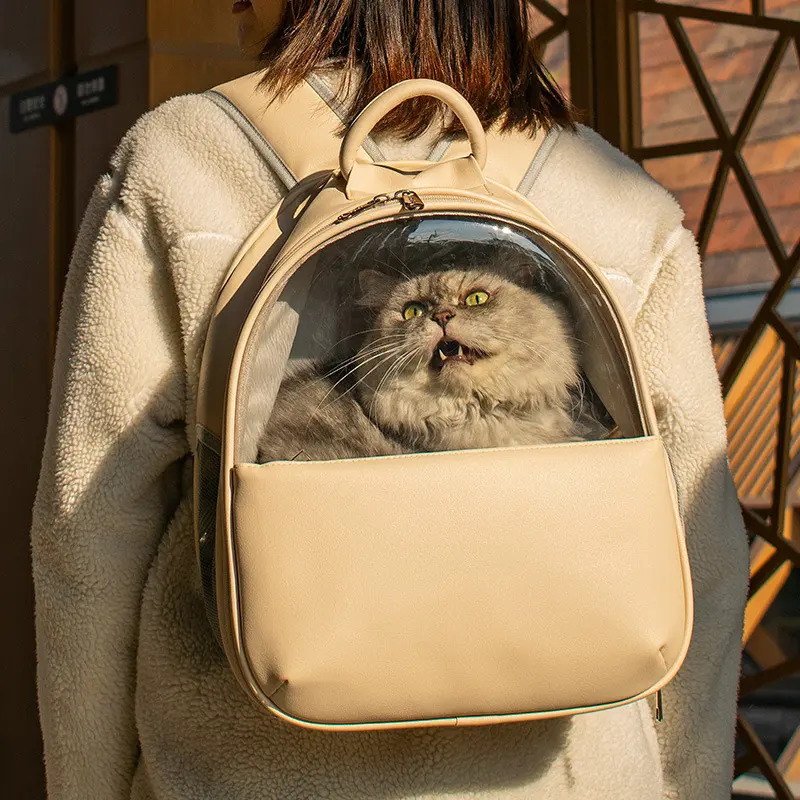 Cat Bag Outing Backpack High-value Visible Transparent Cat