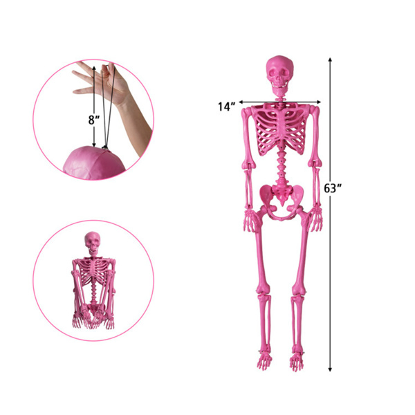 5.5 FT Pink Halloween Skeleton Decor  - No Assembly Needed, Integrated Hanging Rope, Playful-Spooky Vibe for Parties/Yards-16