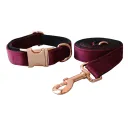 Dog Leash Set