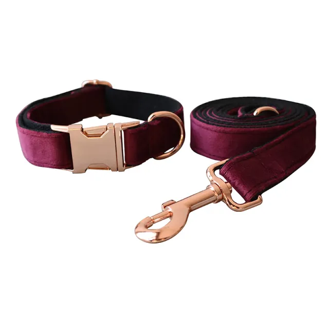 Bowknot Foreign Trade Pet Supplies Dog Leash Set - Shop at LoveMi