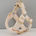 Chest Strap