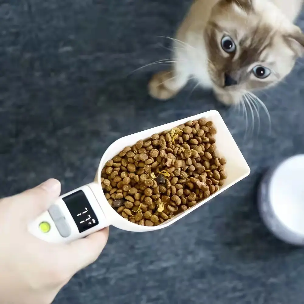 Pet Food Spoon Transparent