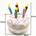 Big Plush Birthday Cake